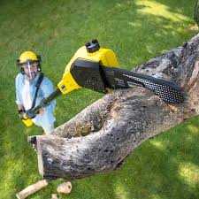 Lawn Maintenance Plans in Philmont, NY